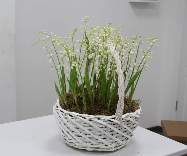 Весенний островок, артикул F1259772 - 59000 рублей, доставка по городу. Flawery - доставка цветов