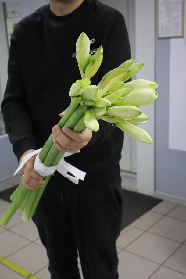 5 белых амариллисов, артикул F1269890 - 5900 рублей, доставка по городу. Flawery - доставка цветов