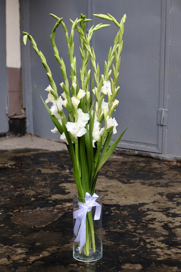 9 белых гладиолусов в вазе, артикул F1281314 - 8900 рублей, доставка по городу. Flawery - доставка цветов