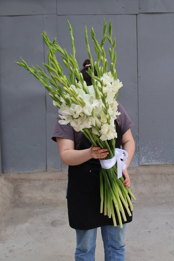 19 белых гладиолусов, артикул F1290070 - 15200 рублей, доставка по городу. Flawery - доставка цветов