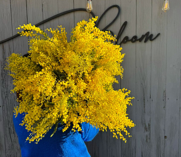 Букет итальянской мимозы, артикул F1364096 - 19990 рублей, доставка по городу. Flawery - доставка цветов