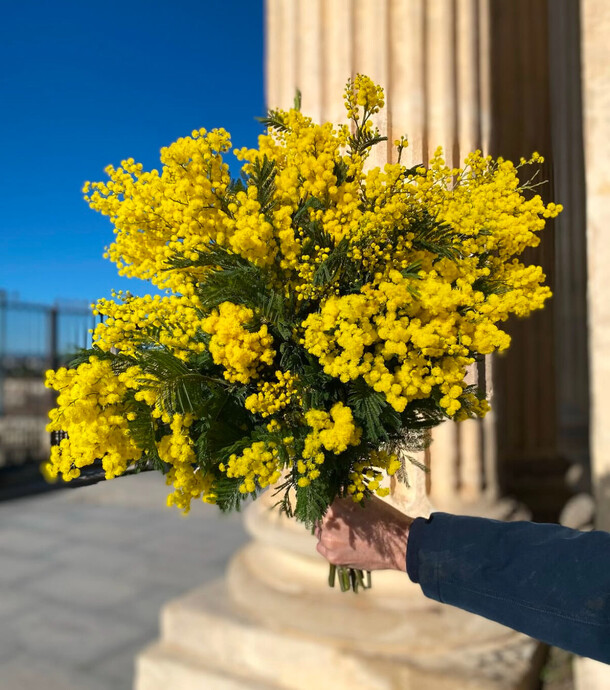 Букет ароматной мимозы, артикул F1366507 - 13900 рублей, доставка по городу. Flawery - доставка цветов