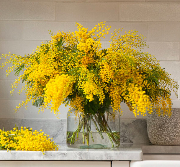Большой букет мимозы в вазе, артикул F1371616 - 20000 рублей, доставка по городу. Flawery - доставка цветов