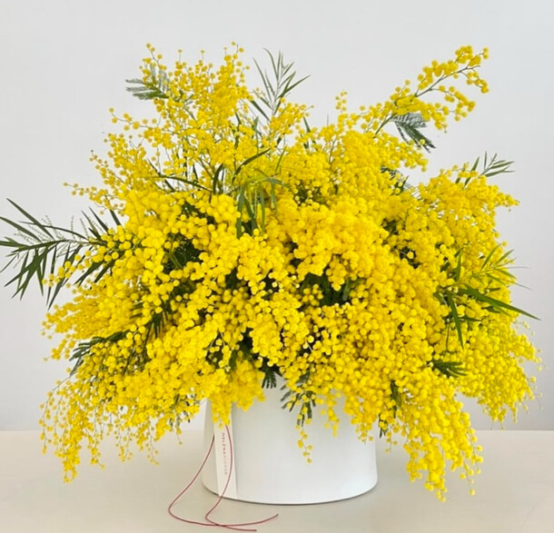 Коробка с мимозой, артикул F1371637 - 21900 рублей, доставка по городу. Flawery - доставка цветов