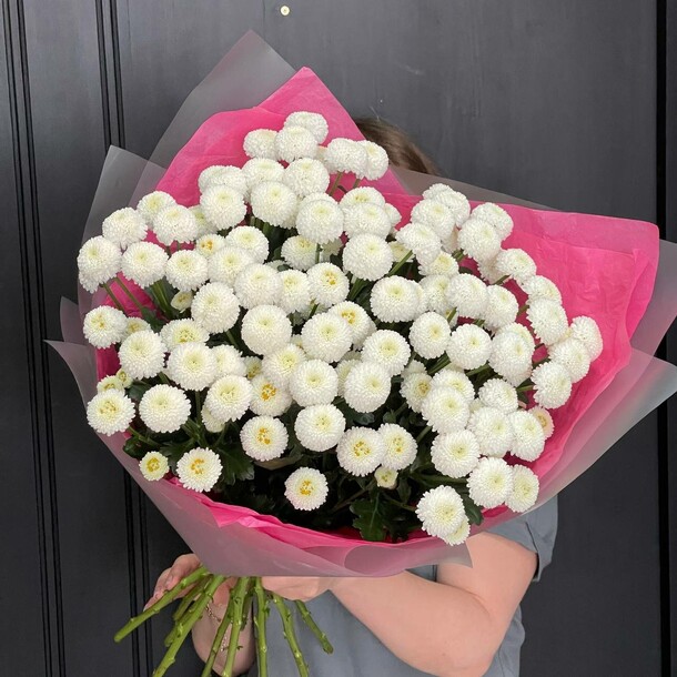 Роскошный букет из премиум хризантем ньютон, артикул F1431996 - 5555 рублей, доставка по городу. Flawery - доставка цветов