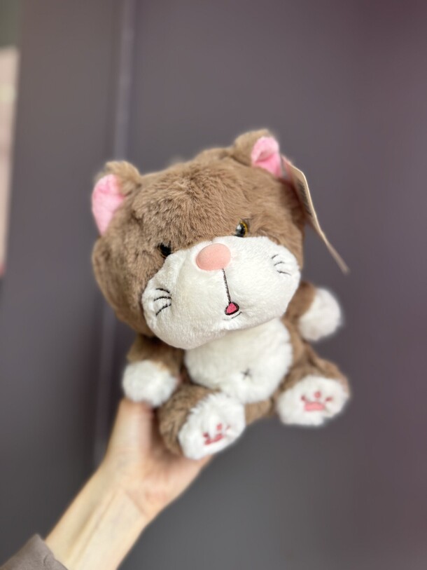Мягкая игрушка «котик», артикул F1327051 - 750 рублей, доставка по городу. Flawery - доставка цветов