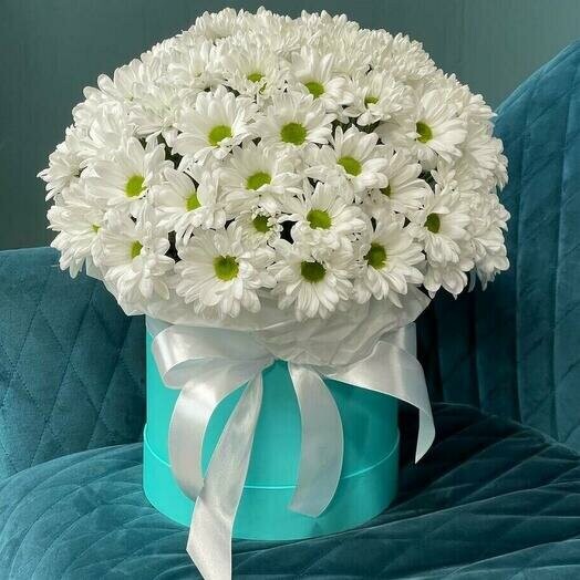 Хризантема в шляпной коробке, артикул F1232303 - 6890 рублей, доставка по городу. Flawery - доставка цветов