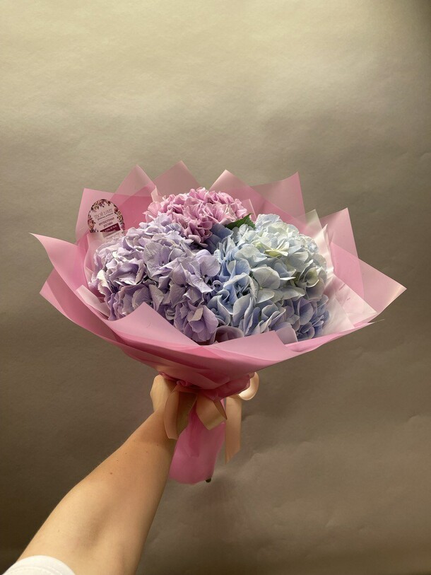 Гортензия радужная, артикул F1308021 - 2990 рублей, доставка по городу. Flawery - доставка цветов