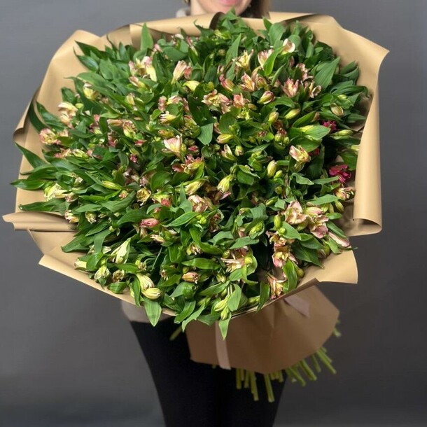 Альстромерия 70 см 101 шт, артикул F1522075 - 29990 рублей, доставка по городу. Flawery - доставка цветов