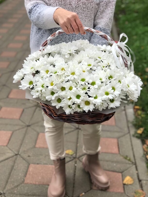 Корзина ромашек, артикул F1141930 - 7690 рублей, доставка по городу. Flawery - доставка цветов