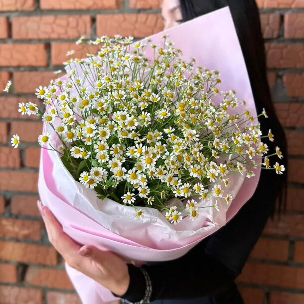 Ромашки арт. 022, артикул F1123774 - 4250 рублей, доставка по городу. Flawery - доставка цветов