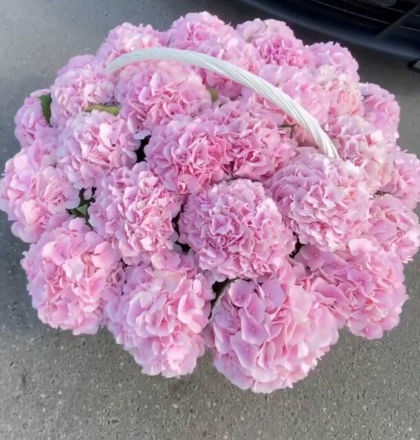 Гортензии в корзину, артикул F1136485 - 29132 рублей, доставка по городу. Flawery - доставка цветов