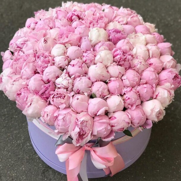 101 пионы в коробке, артикул F1136487 - 74051 рублей, доставка по городу. Flawery - доставка цветов