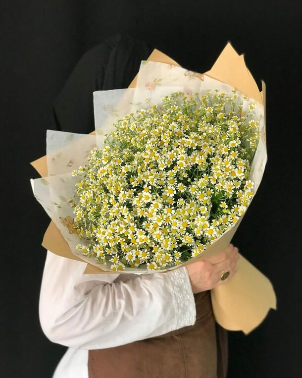 Ромашка, артикул F1136752 - 17148 рублей, доставка по городу. Flawery - доставка цветов