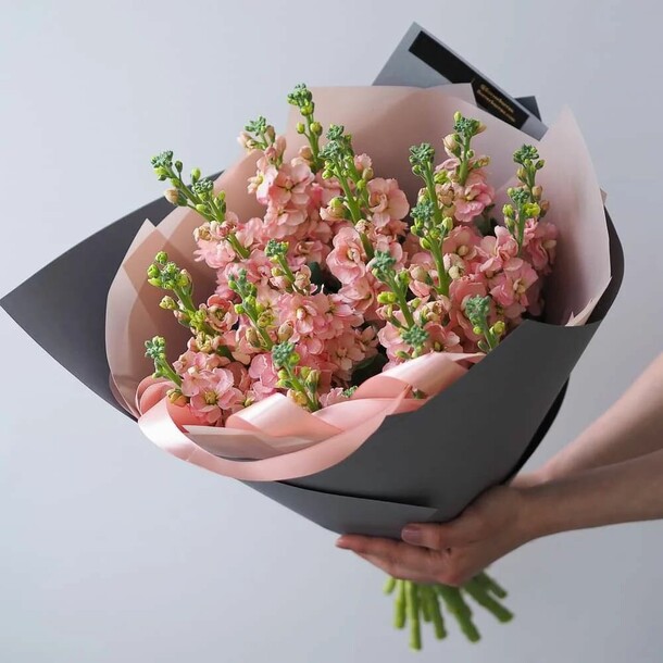 Маттиола, артикул F1151562 - 36634 рублей, доставка по городу. Flawery - доставка цветов