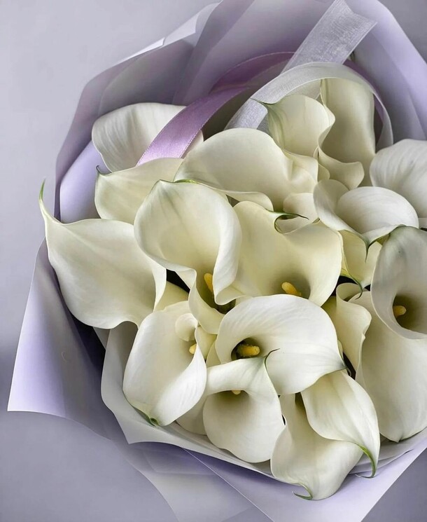 Борсок, артикул F1151610 - 52473 рублей, доставка по городу. Flawery - доставка цветов