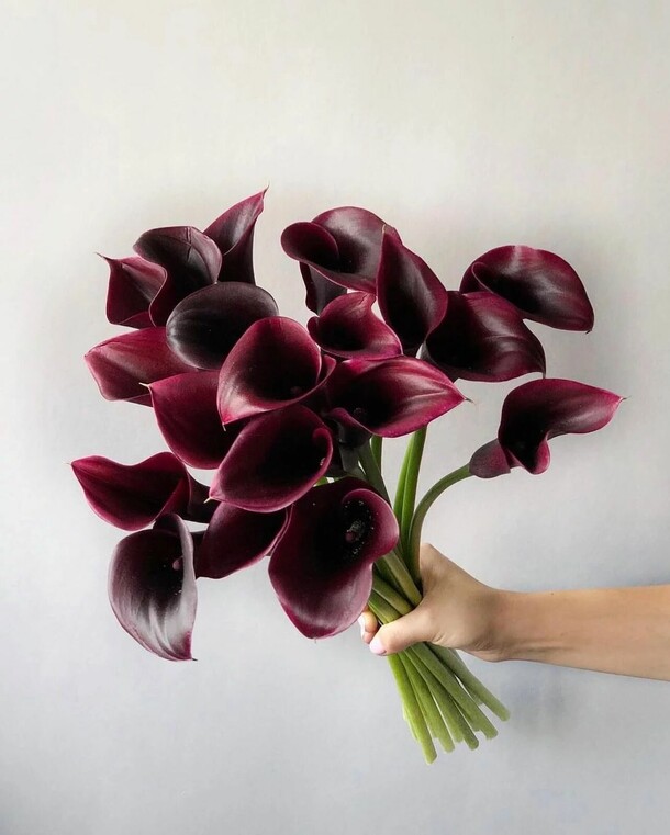 Гимн весне, артикул F1151617 - 50464 рублей, доставка по городу. Flawery - доставка цветов