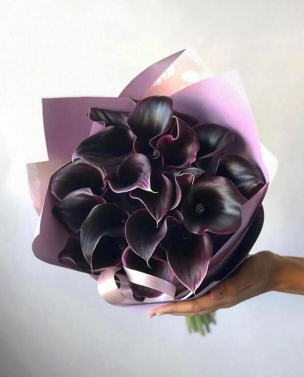 Аура, артикул F1151618 - 80595 рублей, доставка по городу. Flawery - доставка цветов