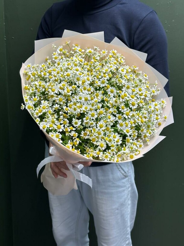 Ромашка, артикул F1223980 - 16919 рублей, доставка по городу. Flawery - доставка цветов