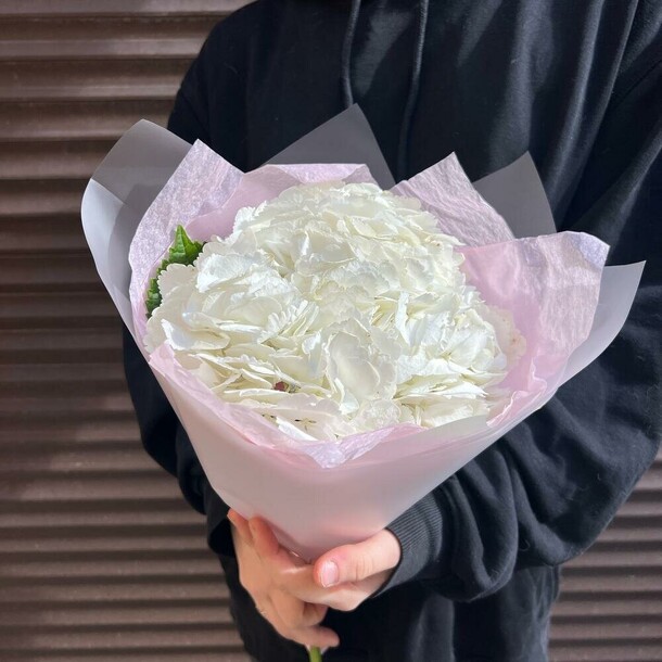 Белая гортензия, артикул F1192088 - 1375 рублей, доставка по городу. Flawery - доставка цветов