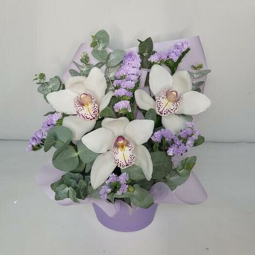 Орхидеи в коробке, артикул F1244840 - 2365 рублей, доставка по городу. Flawery - доставка цветов