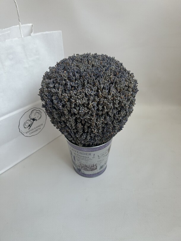 Лаванда в кашпо, артикул F1312554 - 2100 рублей, доставка по городу. Flawery - доставка цветов