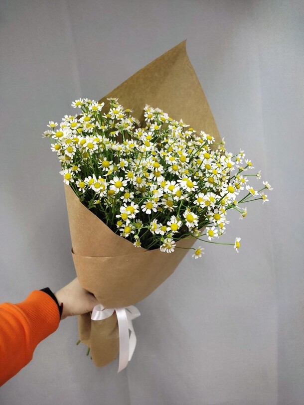 Букет из 11 ромашек, артикул F1186312 - 5690 рублей, доставка по городу. Flawery - доставка цветов