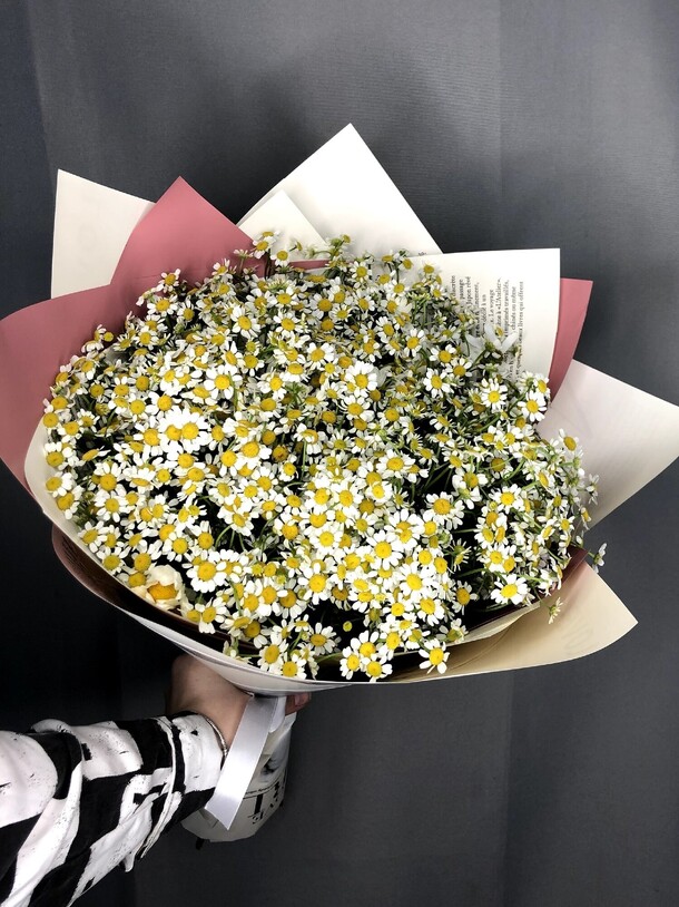 Букет из 25 ромашек, артикул F1186320 - 11290 рублей, доставка по городу. Flawery - доставка цветов