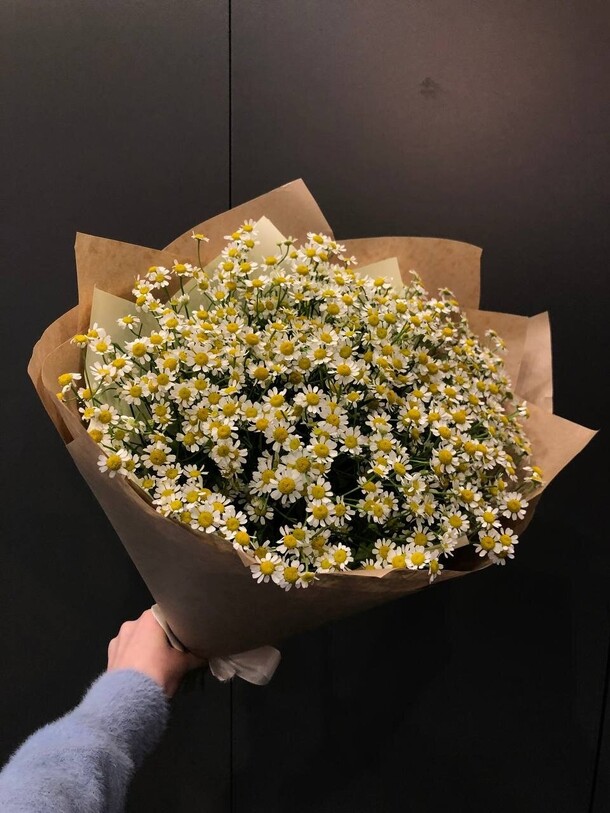 Букет из 31 ромашки, артикул F1186321 - 13690 рублей, доставка по городу. Flawery - доставка цветов