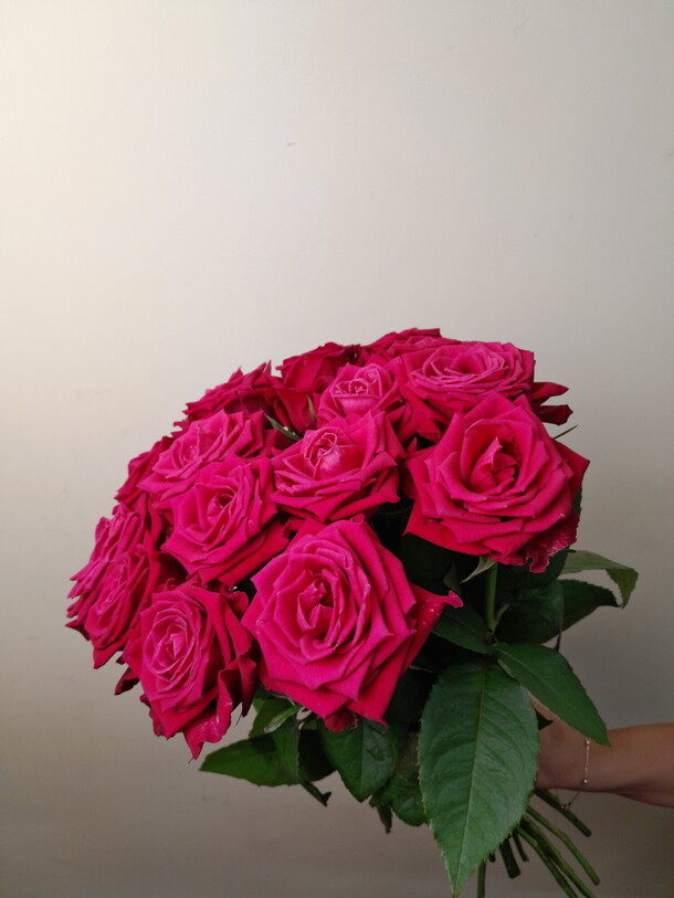 Роза пинк 50 см, артикул F1186329 - 4941 рублей, доставка по городу. Flawery - доставка цветов