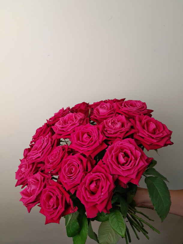 Роза пинк 50 см, артикул F1186333 - 8237 рублей, доставка по городу. Flawery - доставка цветов