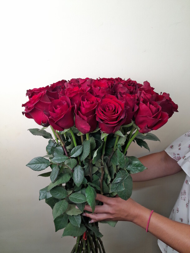 Роза эквадор 90 см, артикул F1186355 - 24699 рублей, доставка по городу. Flawery - доставка цветов