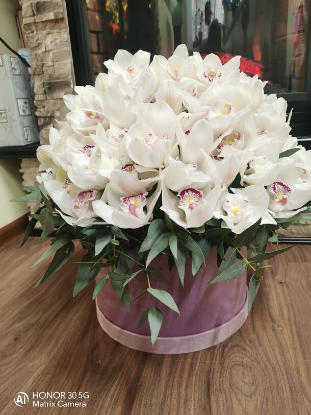 Орхидея, артикул F1215905 - 104684 рублей, доставка по городу. Flawery - доставка цветов