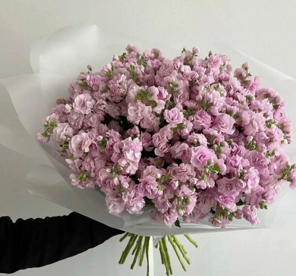 Маттиола, артикул F1272225 - 29570 рублей, доставка по городу. Flawery - доставка цветов