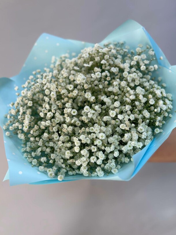 Букет из гипсофилы, артикул F1329917 - 2230 рублей, доставка по городу. Flawery - доставка цветов
