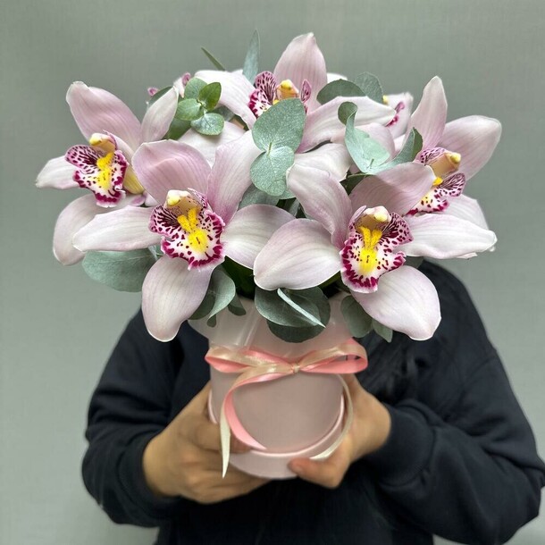 Орхидея в шляпной коробке, артикул F1358269 - 4900 рублей, доставка по городу. Flawery - доставка цветов