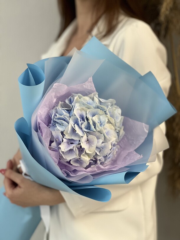 Гортензия в оформлении, артикул F1193820 - 1690 рублей, доставка по городу. Flawery - доставка цветов