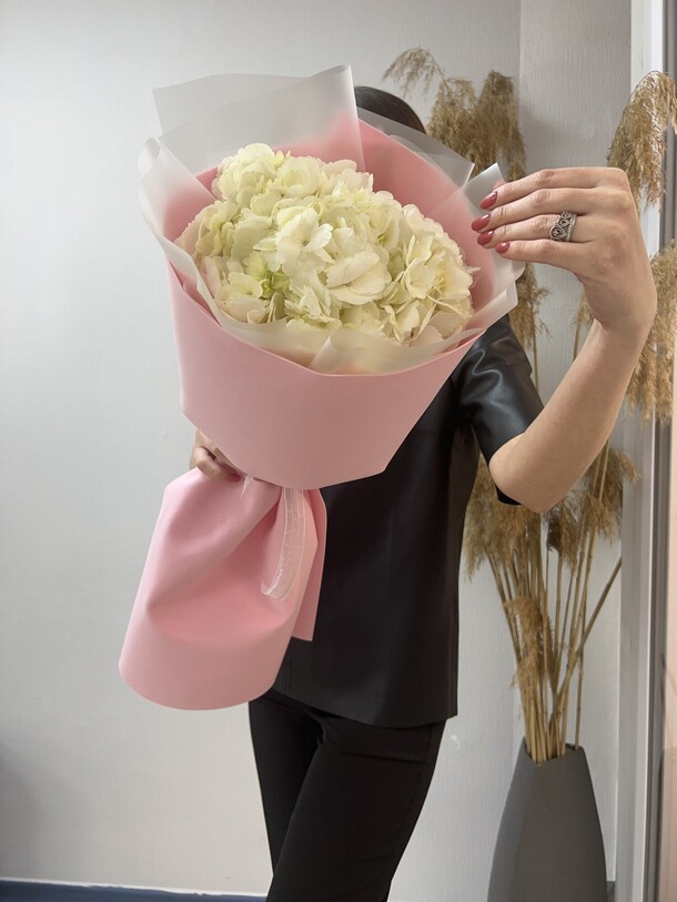 Белая гортензия, артикул F1199753 - 1690 рублей, доставка по городу. Flawery - доставка цветов