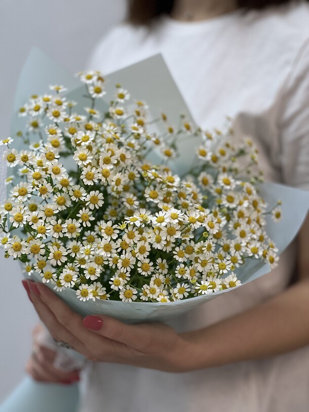 Ромашки 😍, артикул F1200367 - 2870 рублей, доставка по городу. Flawery - доставка цветов