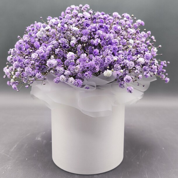 Гипсофила в коробке, артикул F1371005 - 3490 рублей, доставка по городу. Flawery - доставка цветов