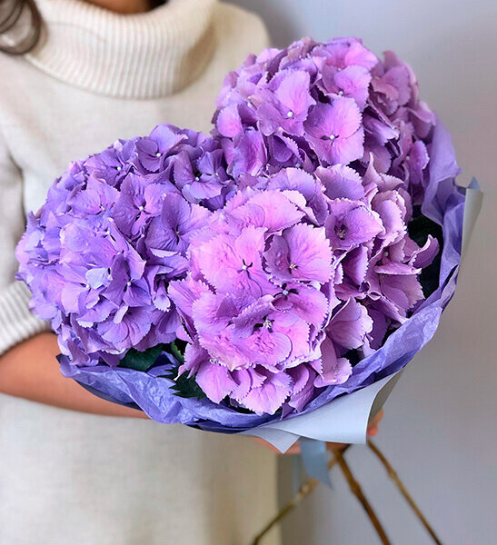 Букет из гортензий, артикул F1201107 - 5058 рублей, доставка по городу. Flawery - доставка цветов