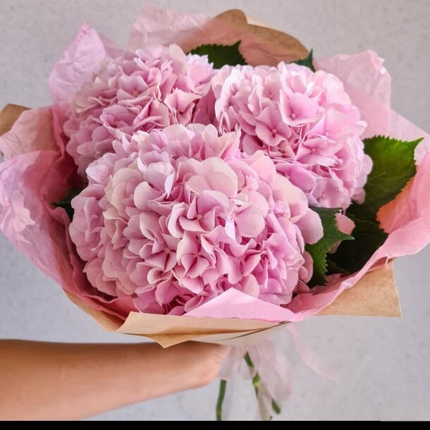 Нежность, артикул F1213205 - 5445 рублей, доставка по городу. Flawery - доставка цветов