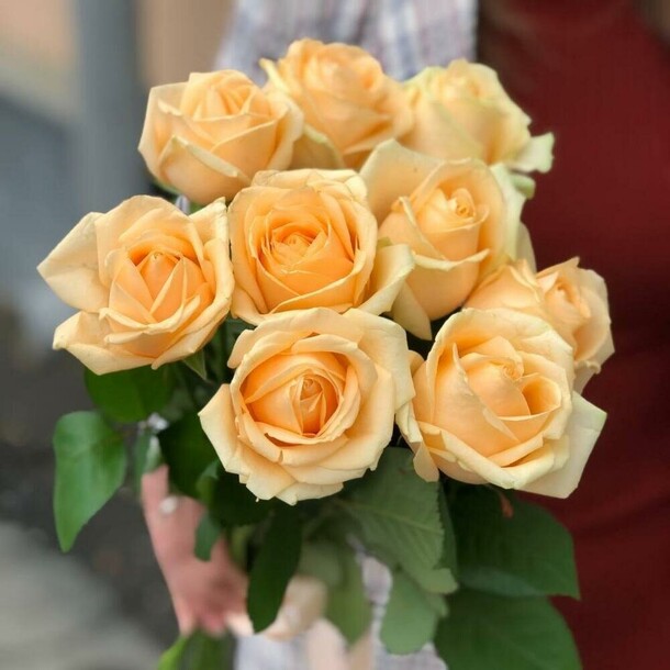 Букет из персиковых роз, артикул F1234344 - 3443 рублей, доставка по городу. Flawery - доставка цветов