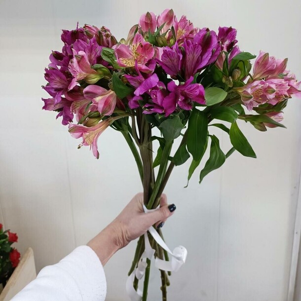 Альстромерии в ленте, артикул F1235169 - 3388 рублей, доставка по городу. Flawery - доставка цветов