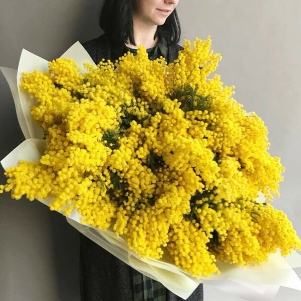 Букет из мимозы, артикул F1257438 - 8168 рублей, доставка по городу. Flawery - доставка цветов