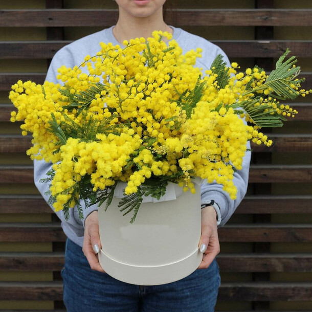 Коробка с мимозой, артикул F1260508 - 9438 рублей, доставка по городу. Flawery - доставка цветов