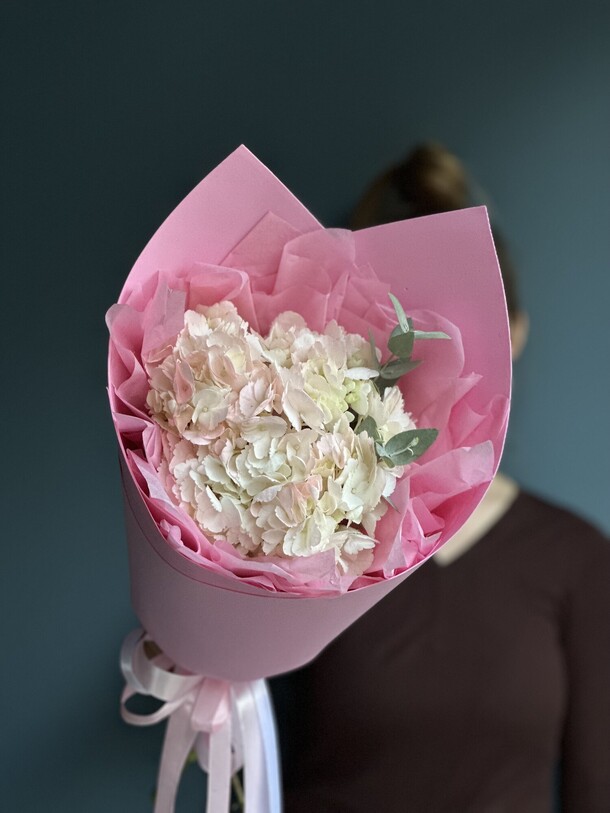 Гортензия нежная, артикул F1214767 - 2020 рублей, доставка по городу. Flawery - доставка цветов