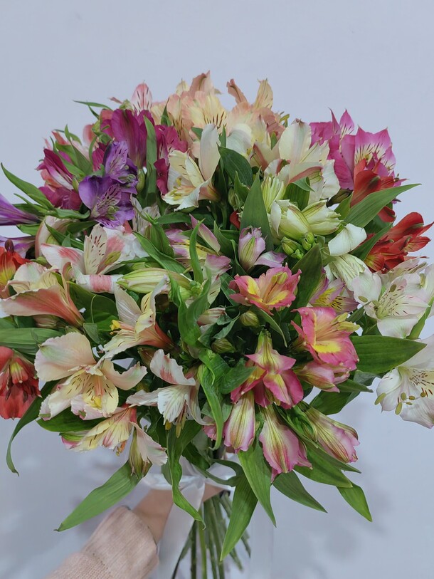 Альстромерия микс, артикул F1147907 - 3650 рублей, доставка по городу. Flawery - доставка цветов