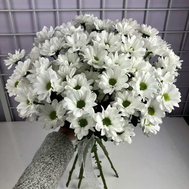 Ромашечка, артикул F80120 - 3900 рублей, доставка по городу. Flawery - доставка цветов