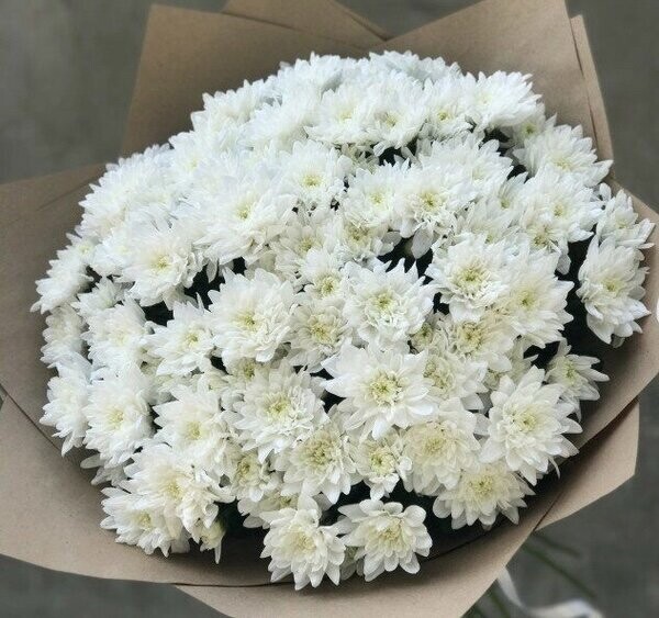 Букет 17 веток хризантем, артикул F1253568 - 8795 рублей, доставка по городу. Flawery - доставка цветов